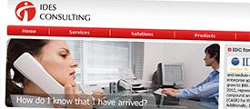 IDES Consulting